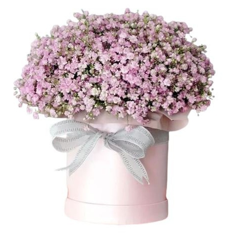 Pastel Pink Gypsophila Box