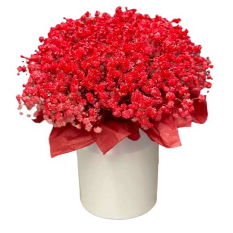 Red Gypsophila Box
