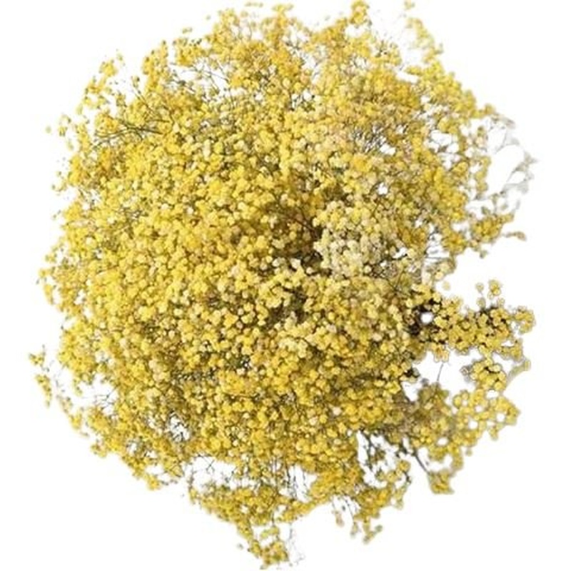 Yellow Gypsophila Bouquet