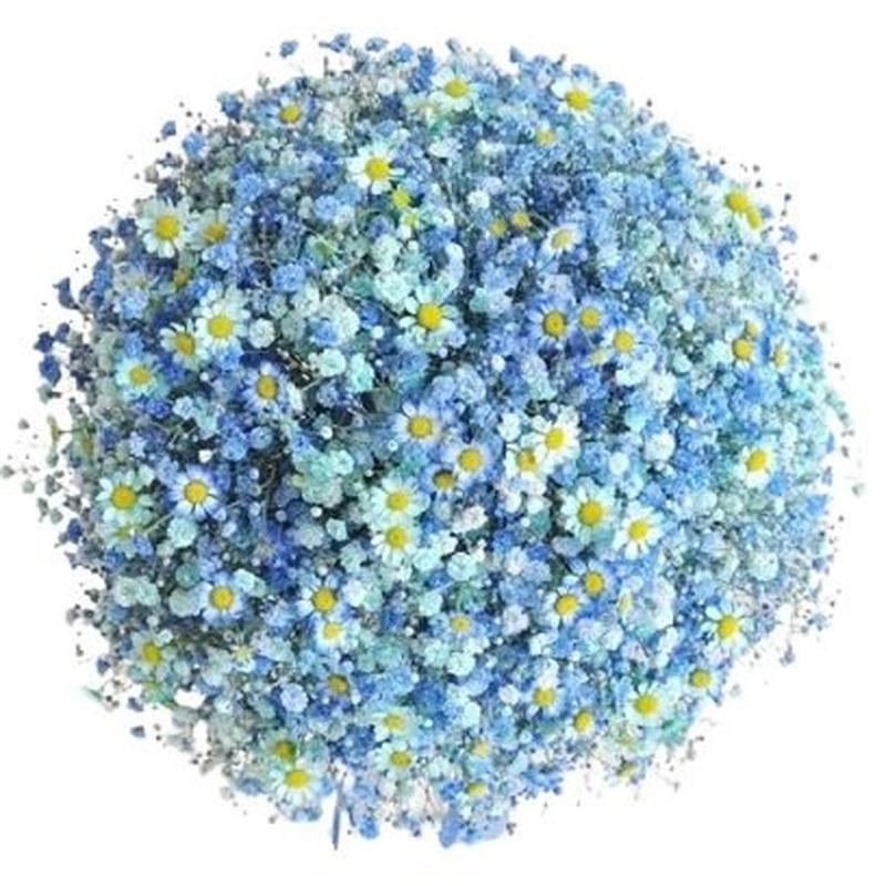 Blue Gypsophila Bouquet with Tanacetum