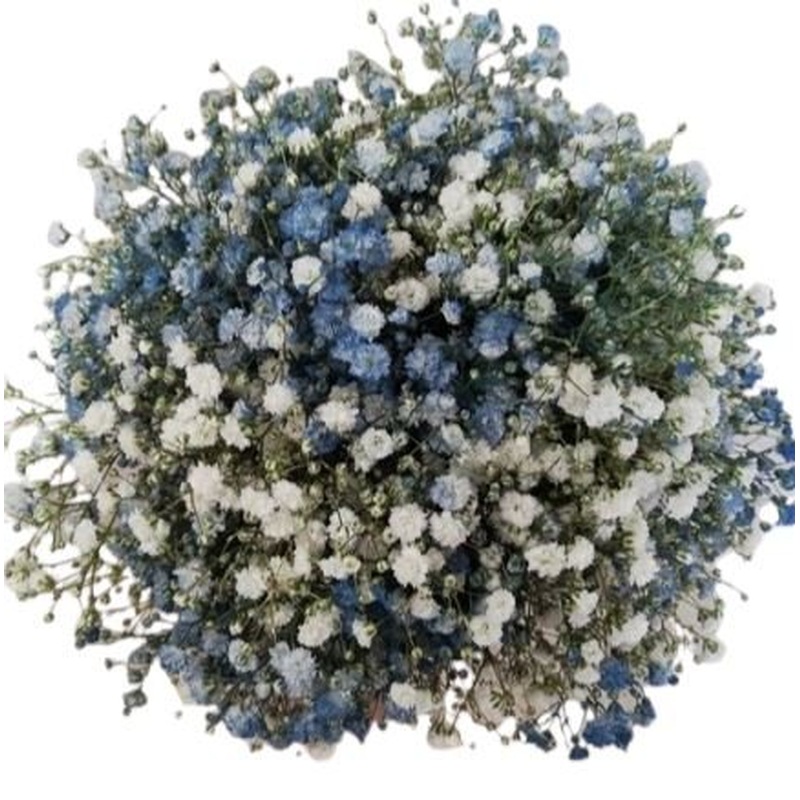 Dark Blue and White Gypsophila Bouquet