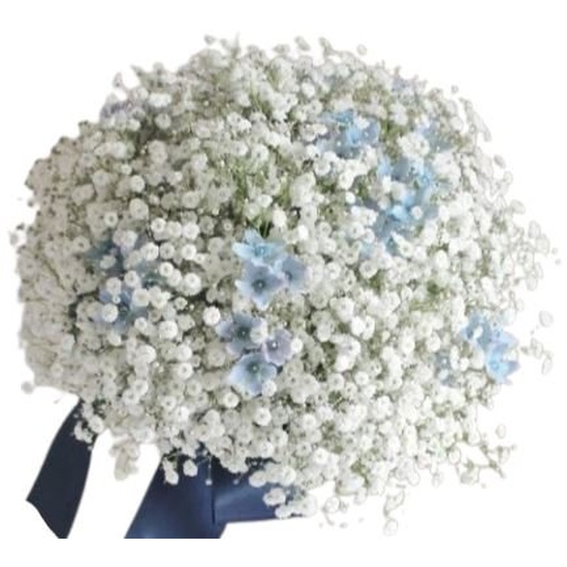 Gypsophila and Blue Oxypetalum Bouquet
