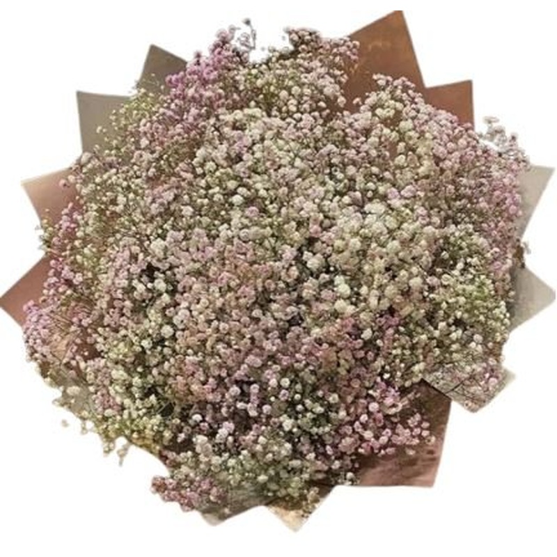 Light Pink and White Gypsophila Bouquet
