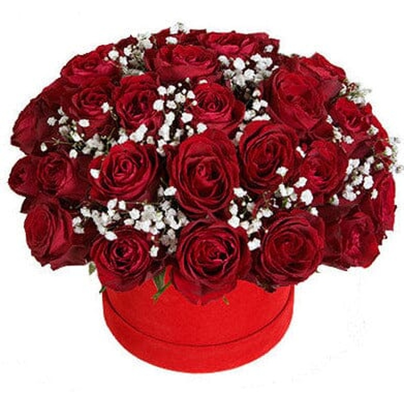 Rafined Red Roses Box with Gypsophila