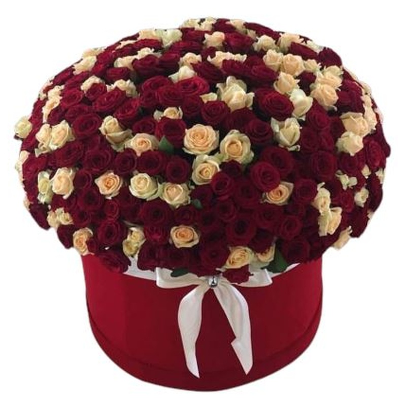 Delightful Box of Red and Peach Spray Roses