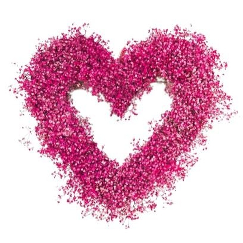 Gypsophila Sweet Heart