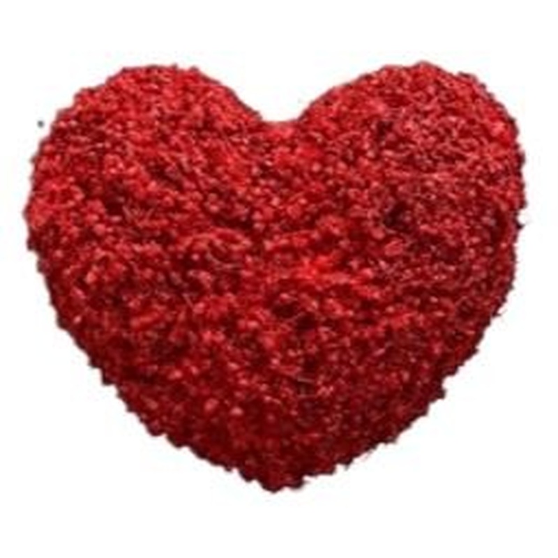 Lovely Gypsophila Heart