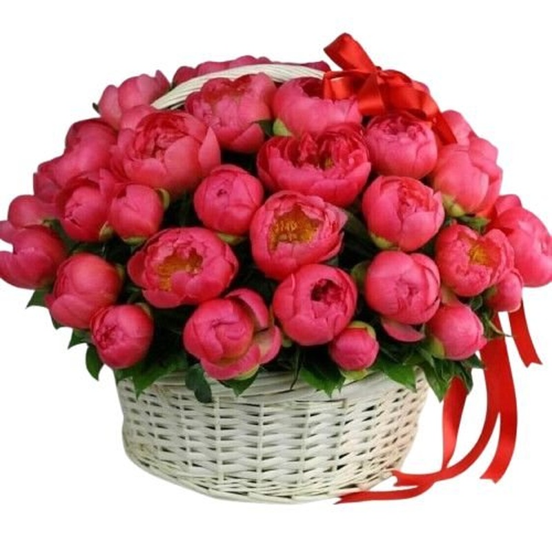 Amazing Coral Peonies Basket