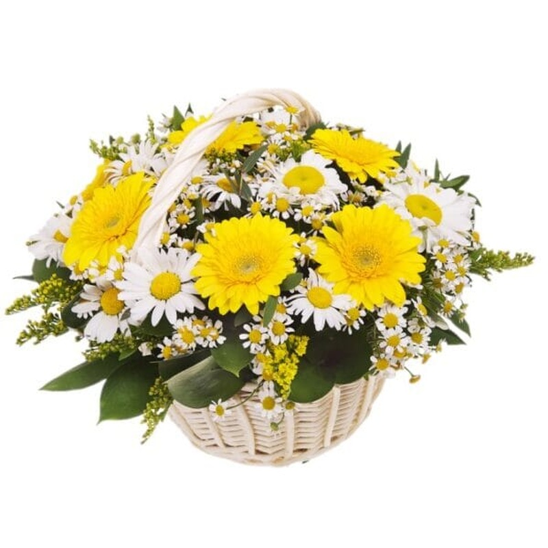 Basket of Gerberas with Leucanthemum and Tanacetum