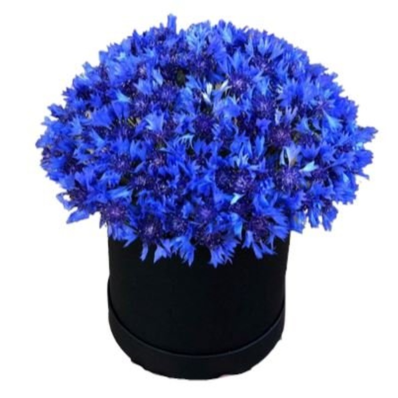 Box of Cornflowers