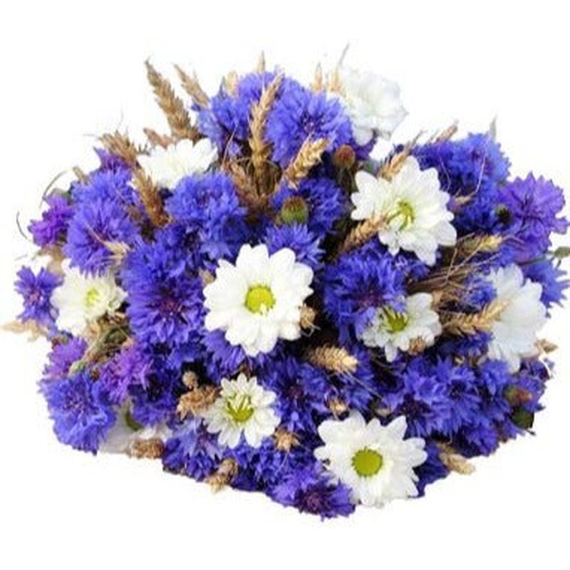 Chrysanthemum Daises and Cornflowers Bouquet