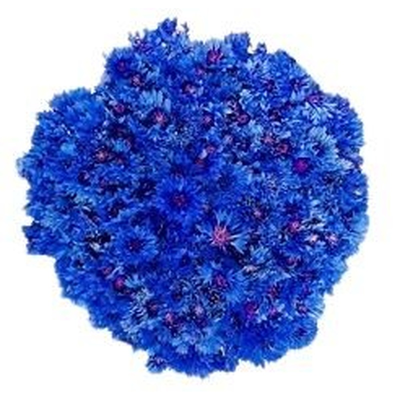 Cornflowers Bouquet