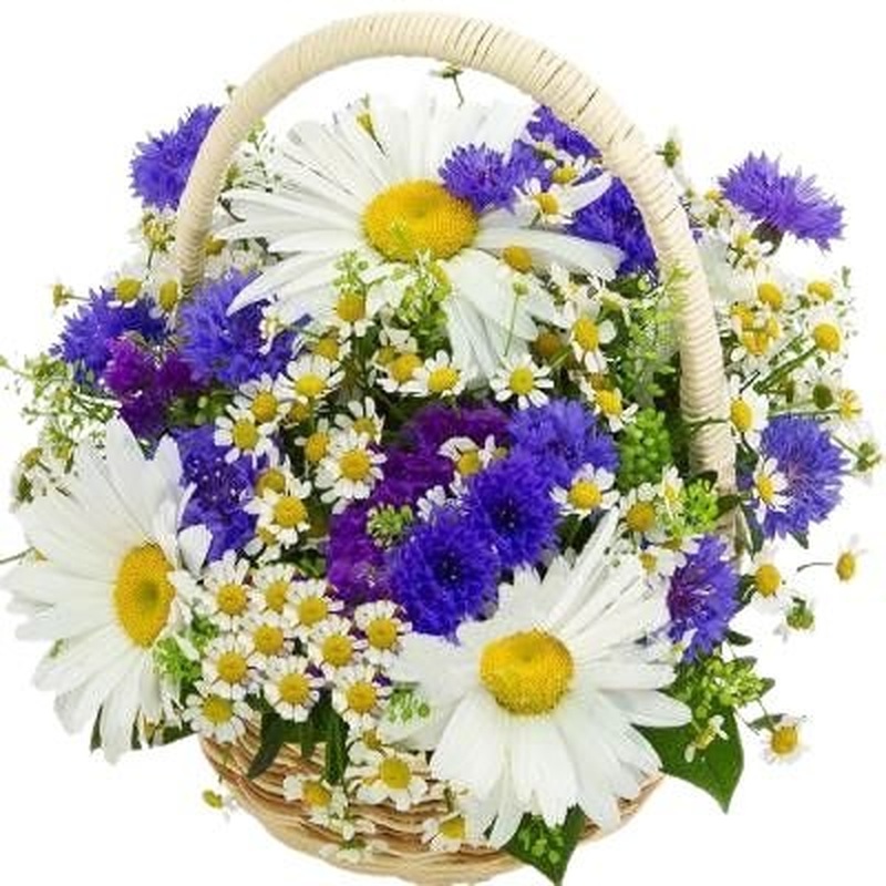 Cute Basket of Daisy and Cornflowers