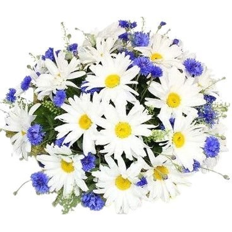 Daisies and Cornflowers Bouquet