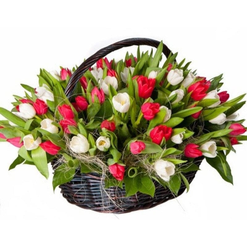 Duo Tulips Basket