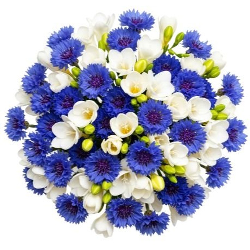Freesias and Cornflowers Bouquet