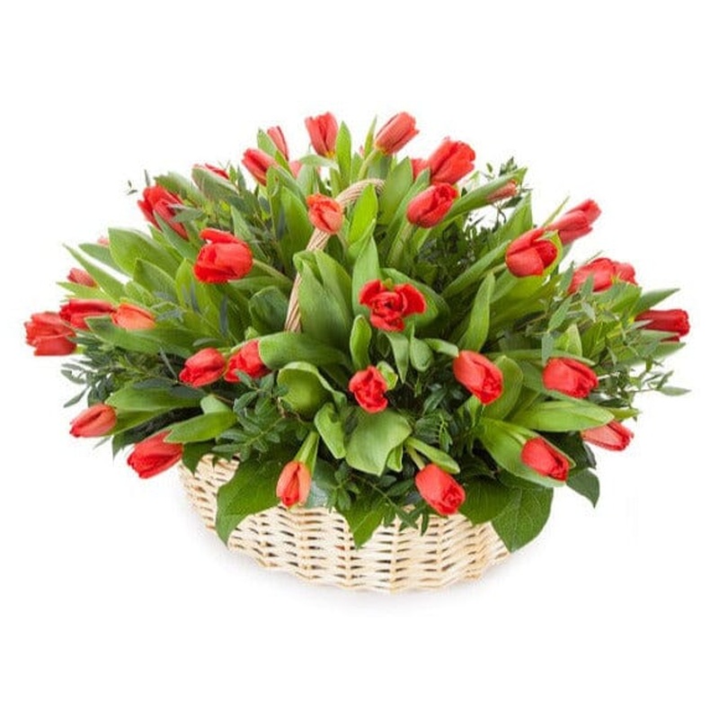 Tulips with Greenery Basket