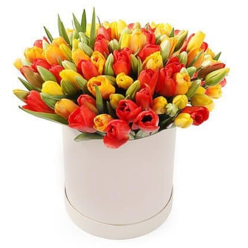 Box of Bright Colored Tulips