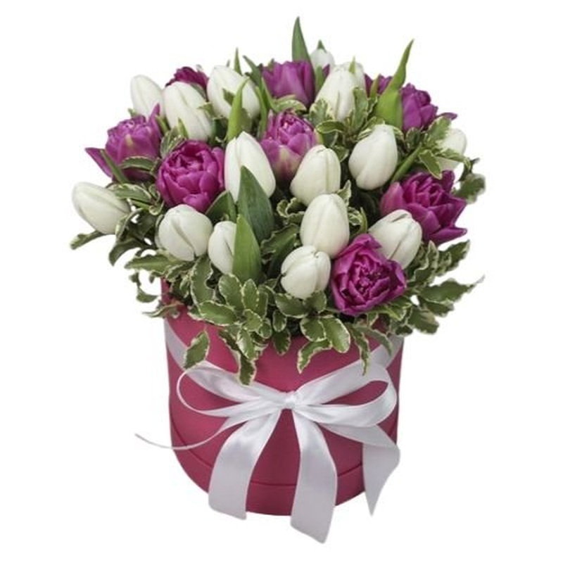 Cute Duo Tulips with Greenery in Box