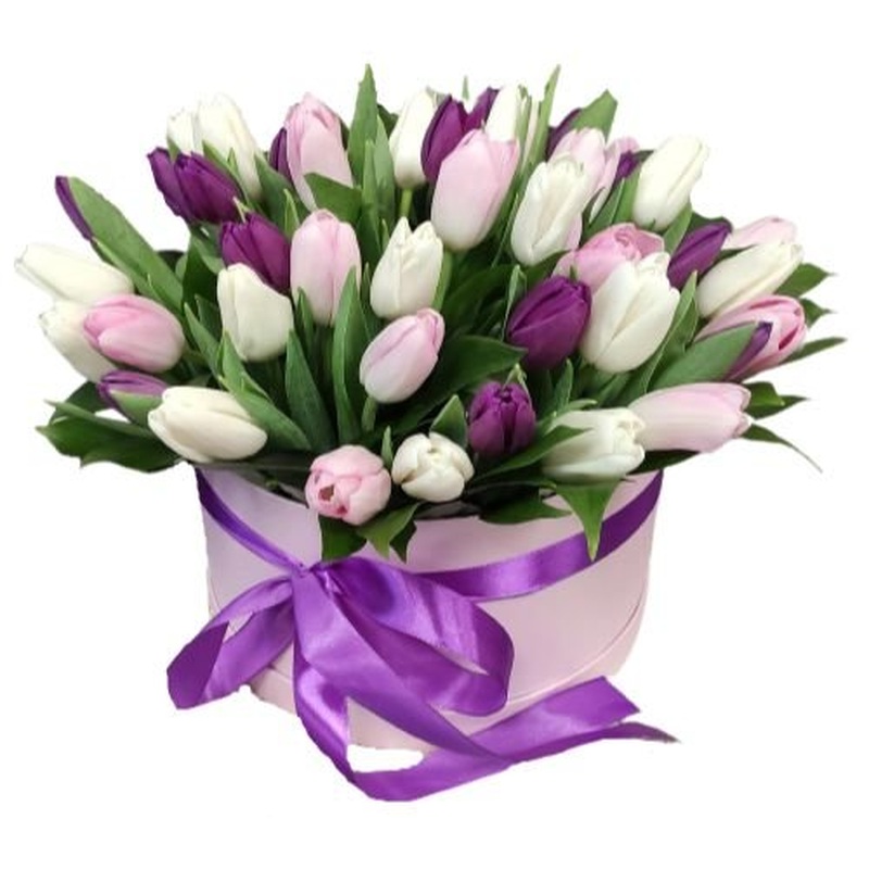 Dreams of Spring Tulips in Box