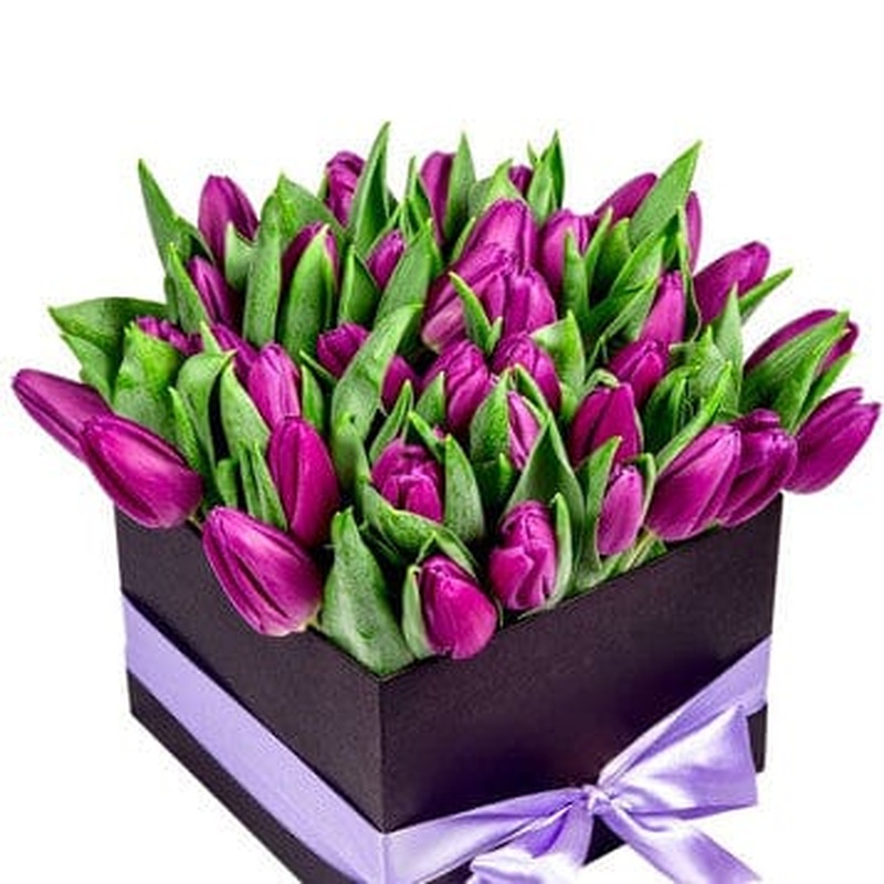 Lovely Purple Tulips in Box