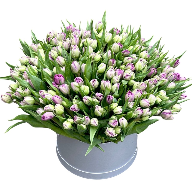 Luxury Double Tulips in a Box
