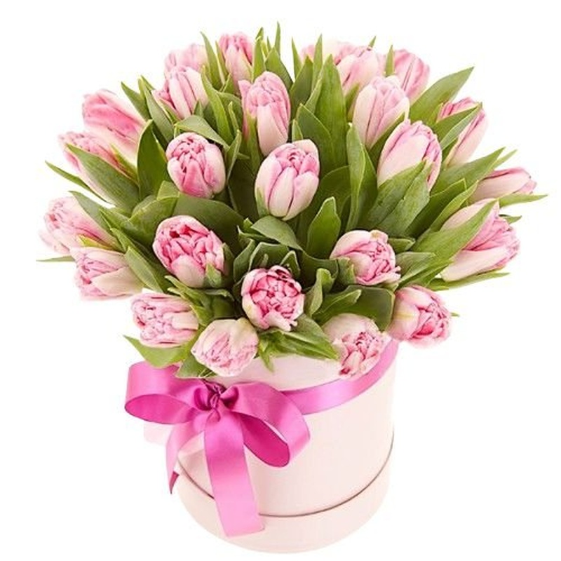 Pretty Box of Double Tulips