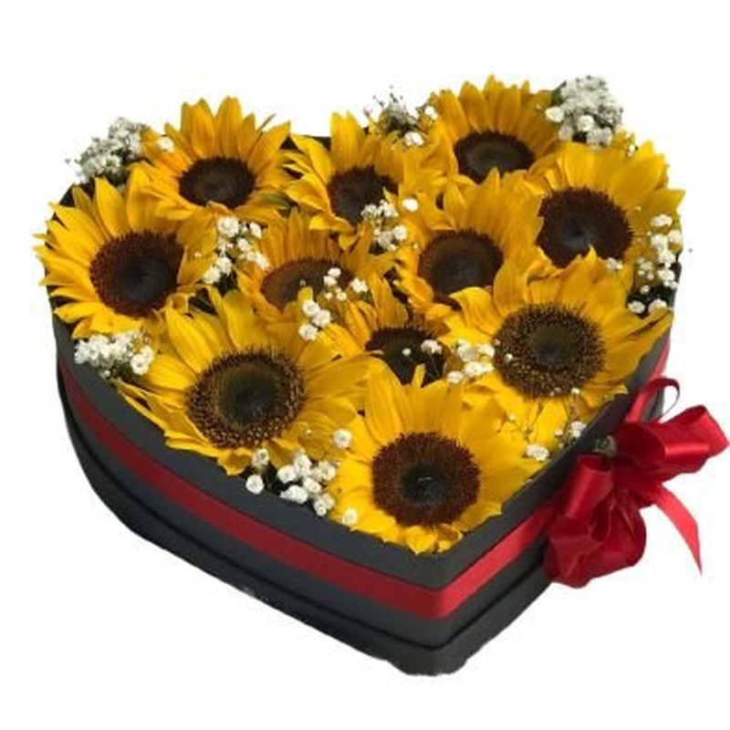 Amazing Box of Sunflowers with Gypsophila