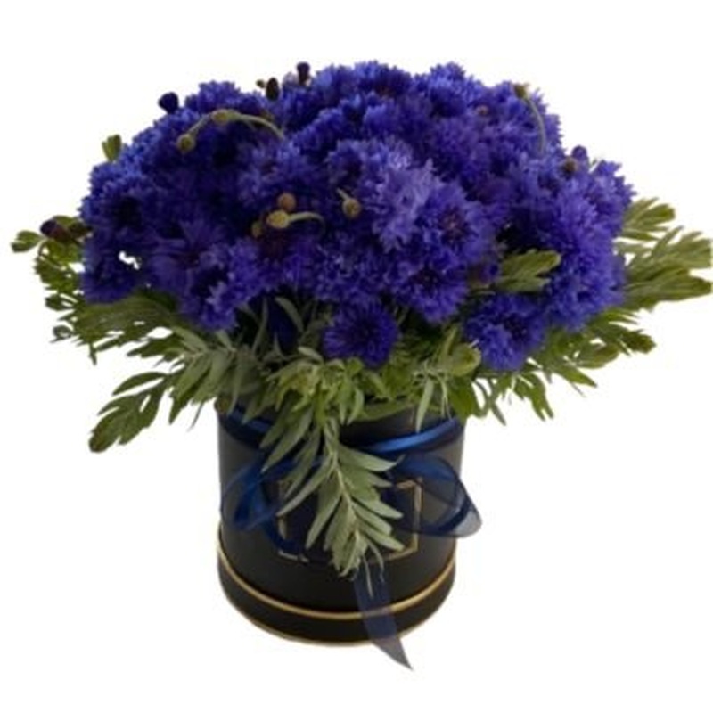 Cornflowers with Greenery in Box