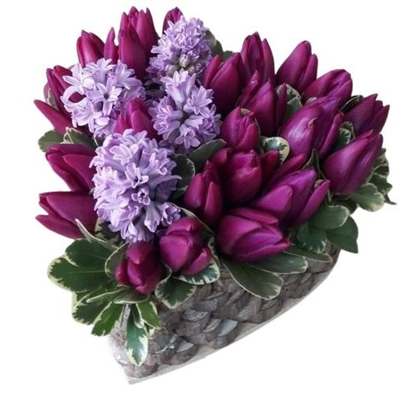 Fragrant Box of Hyacinth and Tulips