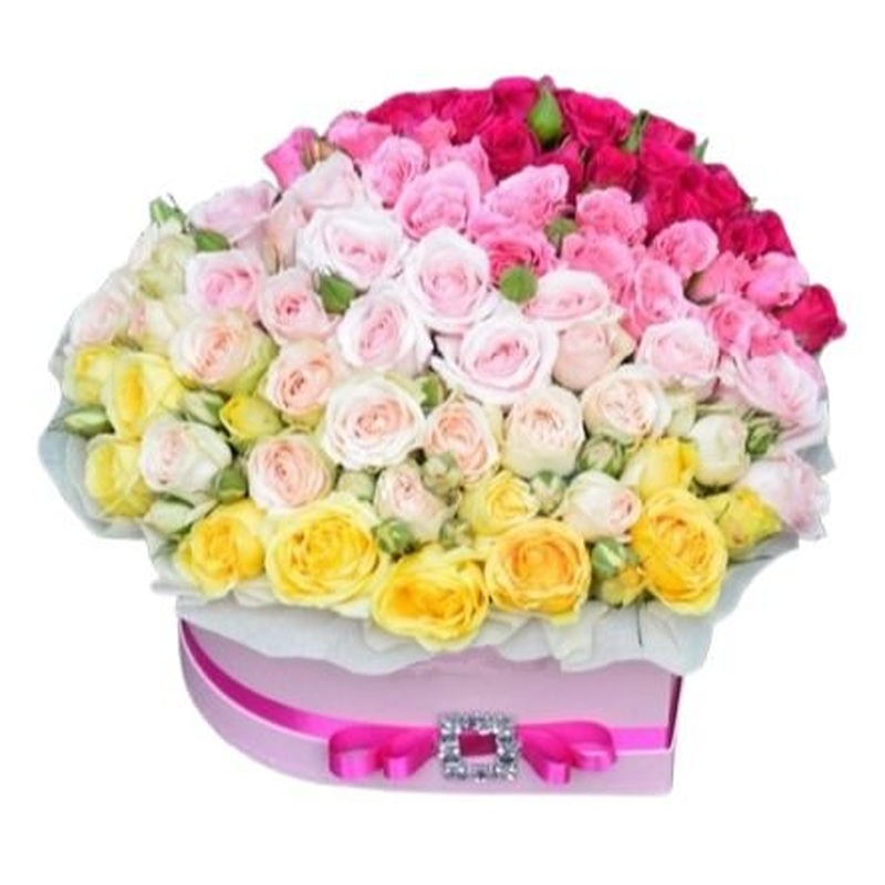 Gradient Box of Spray Roses