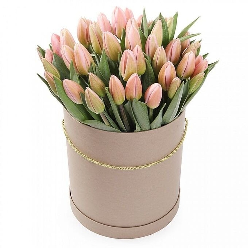 Pastel Pink Tulips in a Box