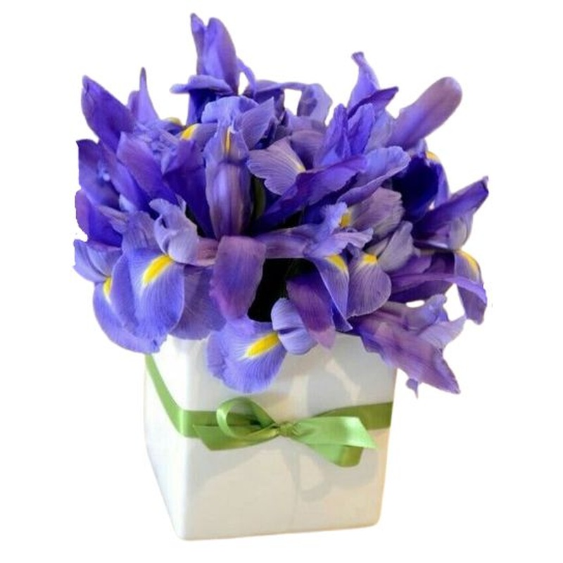 Lovely Box of Irises