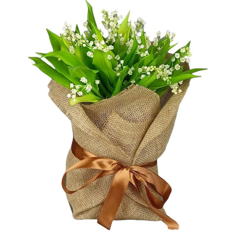 Jute Wrapped Lily of Valley with Roots