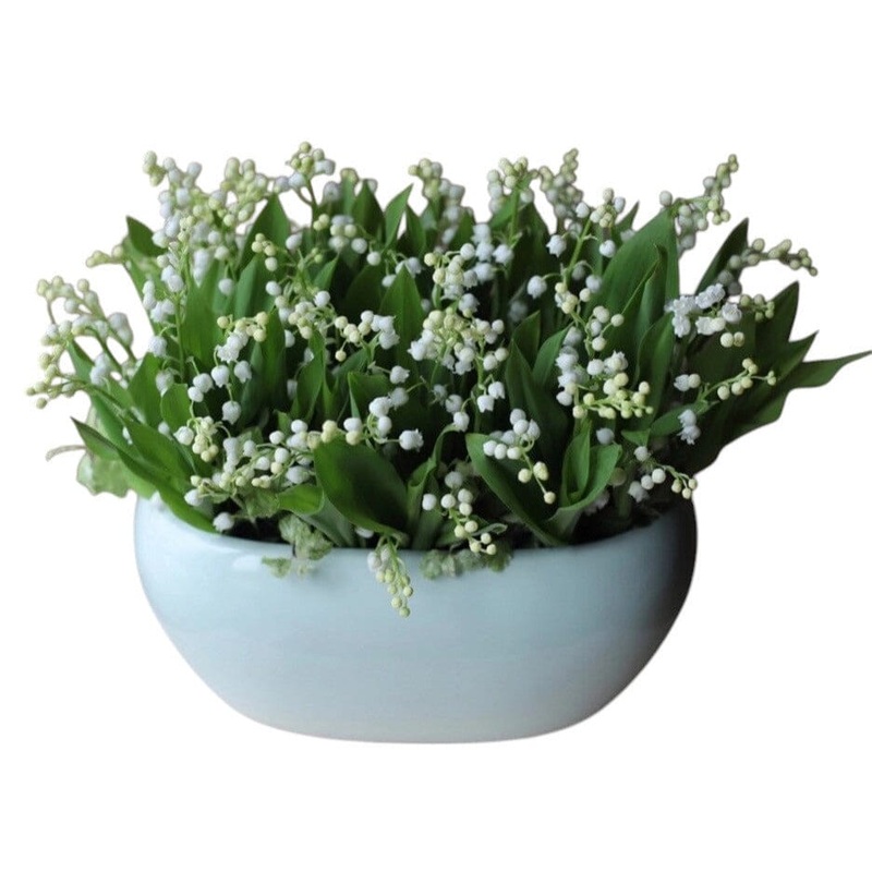 Magnificent Lily of Valley Plant in Ceramic Bowl