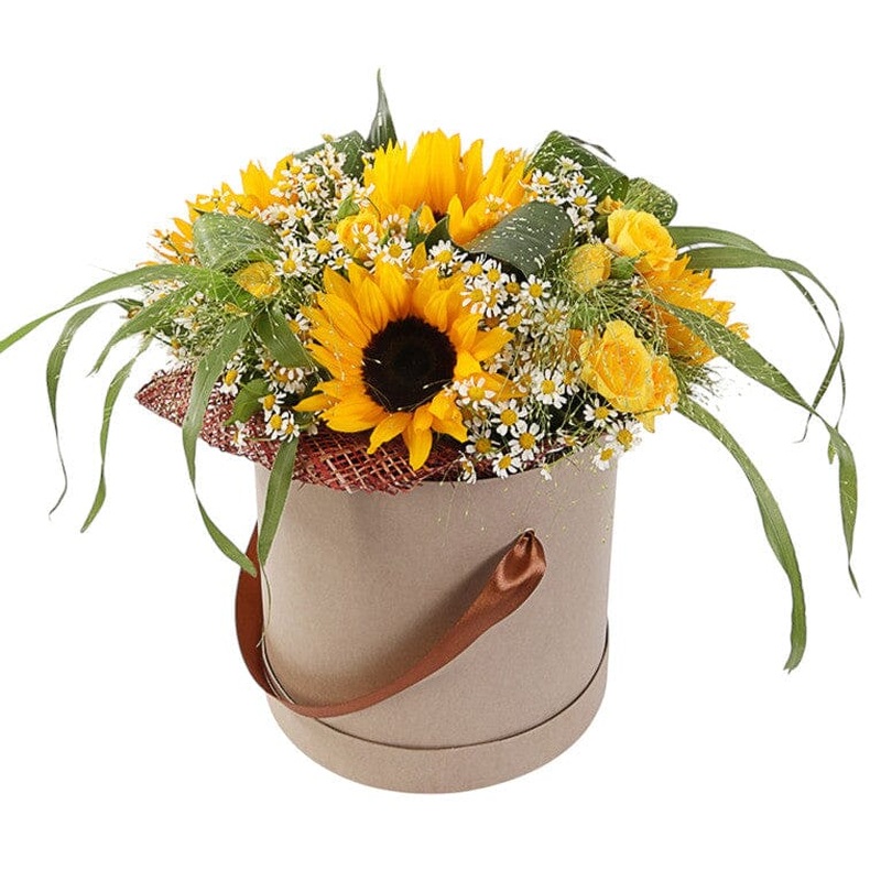 Amazing Box of Sunflowers with Daisy Tanacetum