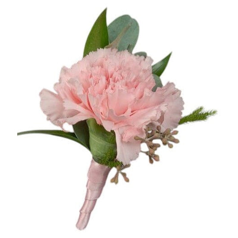 Carnations Buttonhole