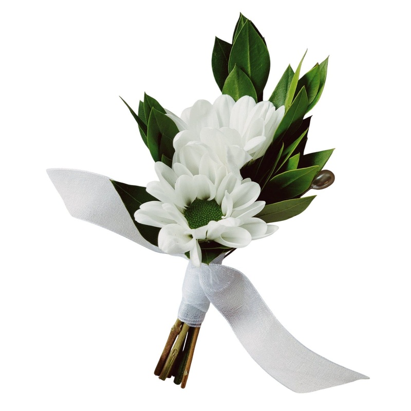 White Daisy Chrysanthemum Buttonhole