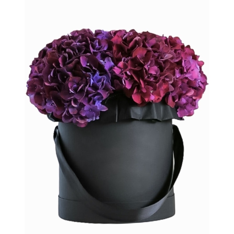 Deep Purple Hydrangea Box