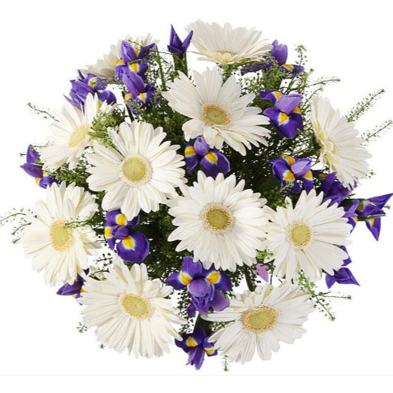 White Gerberas and Iris Bouquet with Green Bell
