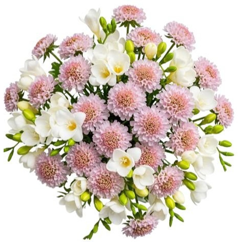 White Freesias and Scobiosa Bouquet