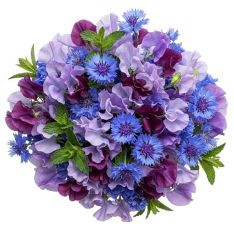 Whispers of Indigo Dreams Bouquet
