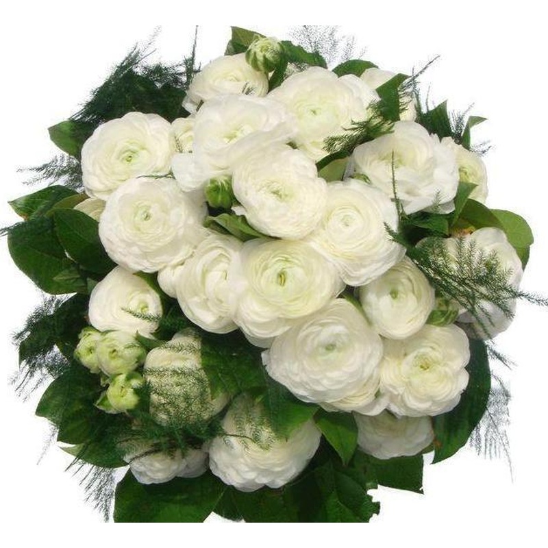 White Ranunculus Bouquet