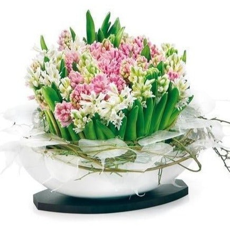 Hyacinths in Ceramic Elliptic Pot