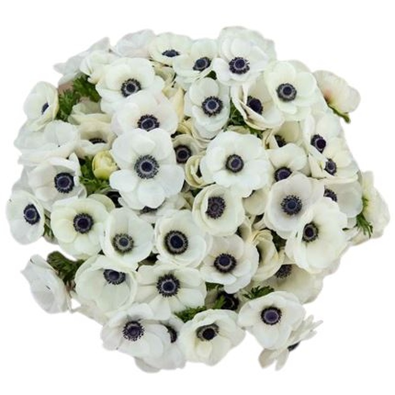 White Anemone Bouquet