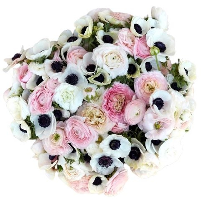 White Anemone & Ranunculus Bouquet