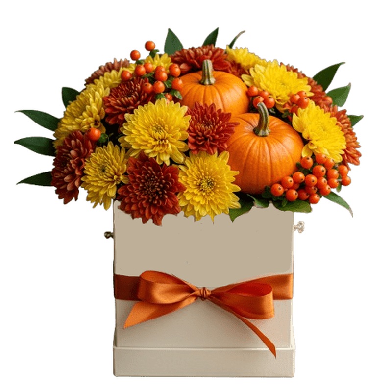 Cute Halloween Box of Chrysanthemum and Pumpkin