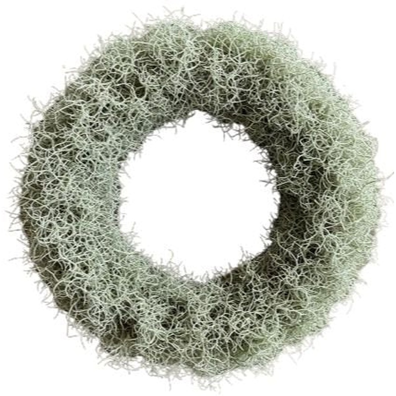 Silver Tillandsia Door Wreath