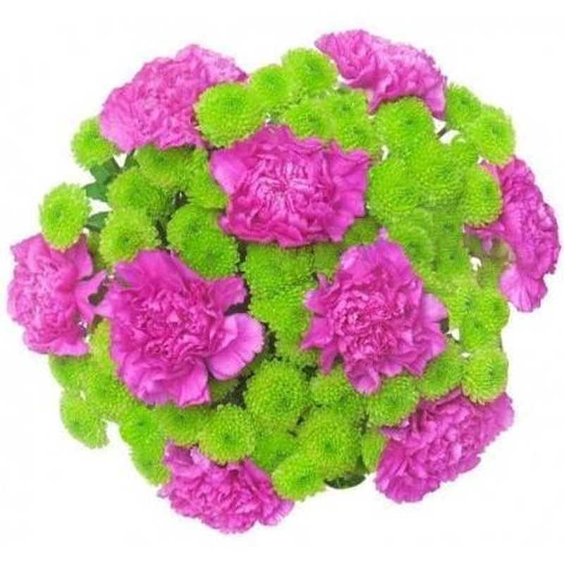 Amaranth in Green Flower Bouquet