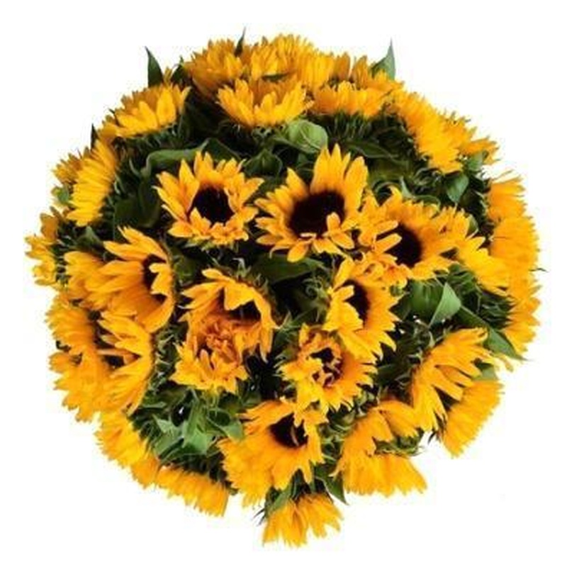Amazing Sunflowers Bouquet